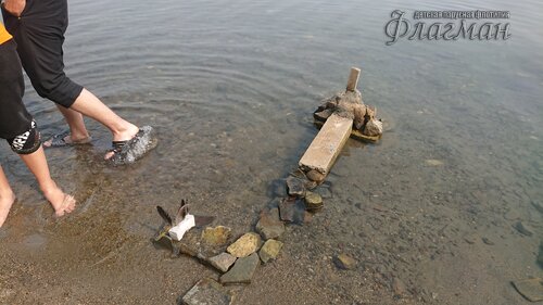 DSC_20220808111759_692_0000_